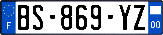 BS-869-YZ