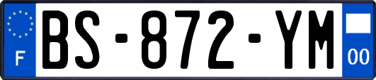 BS-872-YM