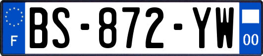 BS-872-YW