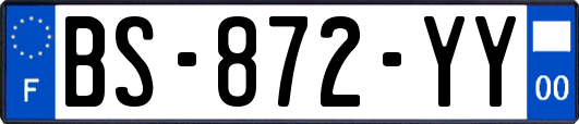 BS-872-YY