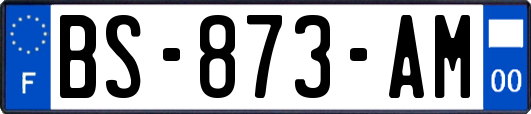 BS-873-AM