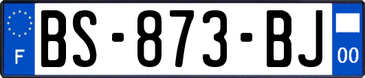 BS-873-BJ