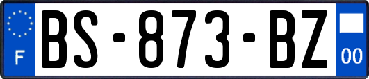 BS-873-BZ