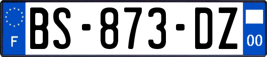 BS-873-DZ