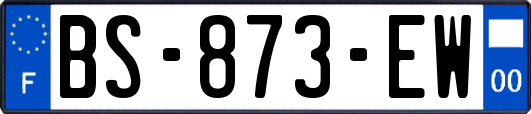 BS-873-EW