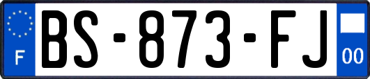 BS-873-FJ