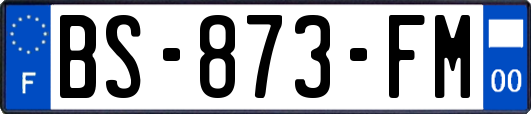 BS-873-FM