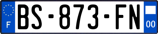 BS-873-FN