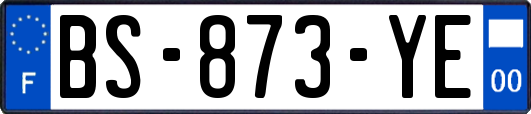 BS-873-YE