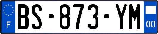 BS-873-YM