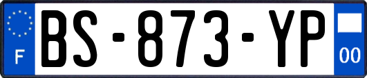 BS-873-YP