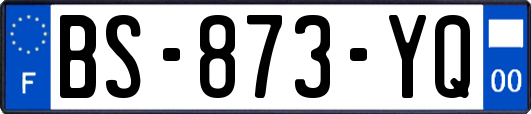 BS-873-YQ