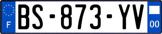 BS-873-YV
