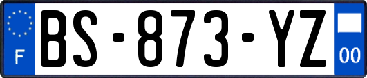 BS-873-YZ