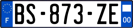 BS-873-ZE