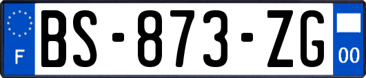 BS-873-ZG