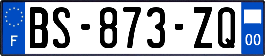 BS-873-ZQ