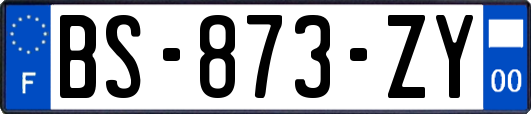 BS-873-ZY