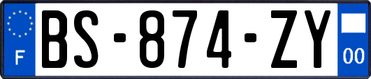 BS-874-ZY