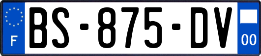 BS-875-DV