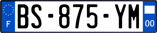 BS-875-YM