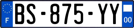 BS-875-YY