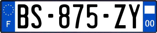 BS-875-ZY