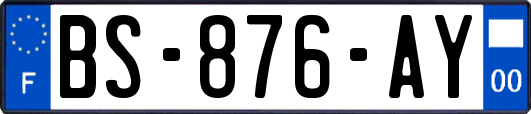 BS-876-AY