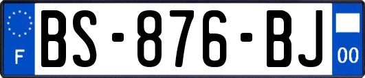 BS-876-BJ