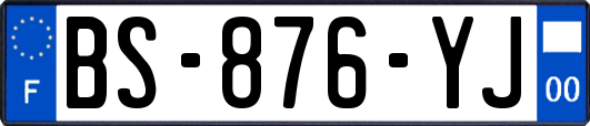 BS-876-YJ