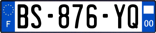 BS-876-YQ