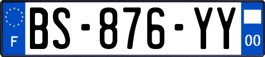 BS-876-YY