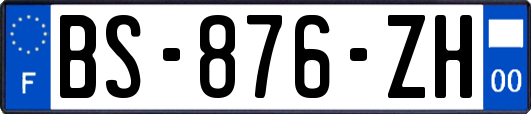 BS-876-ZH