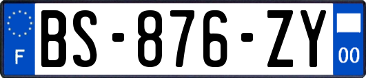 BS-876-ZY