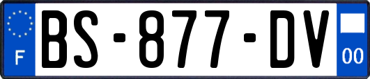 BS-877-DV