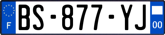 BS-877-YJ