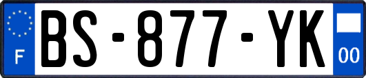 BS-877-YK