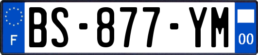 BS-877-YM