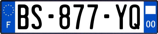 BS-877-YQ