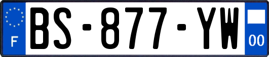 BS-877-YW
