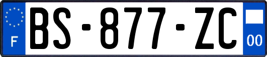 BS-877-ZC