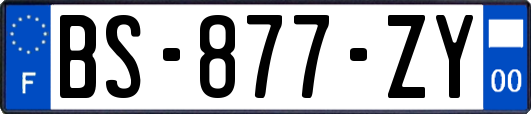 BS-877-ZY