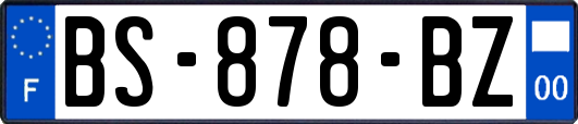 BS-878-BZ