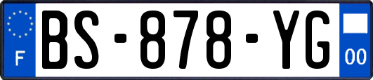 BS-878-YG