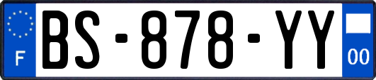 BS-878-YY