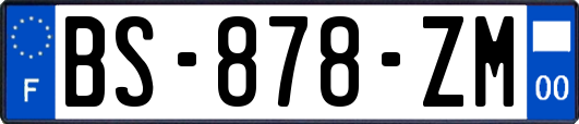 BS-878-ZM