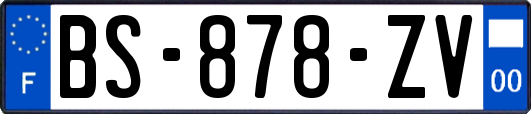 BS-878-ZV