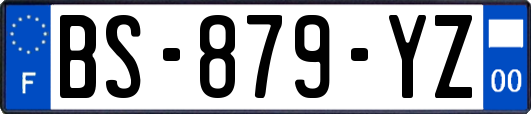 BS-879-YZ