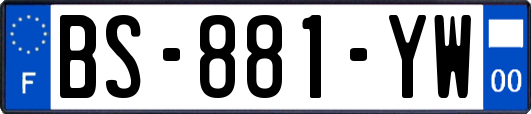 BS-881-YW