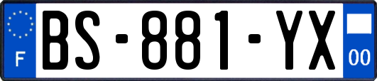 BS-881-YX